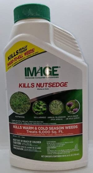 Best Weed Killer For Bermuda Grass 5 Safe Post Emergent Herbicides