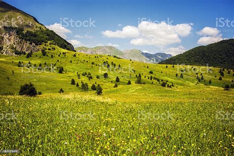 National Park Sutjeska Bosnia And Herzegovina Stock Photo ...