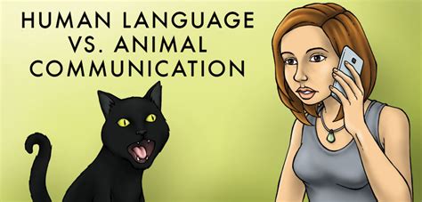 Differences Between Animal And Human Communication Owlcation
