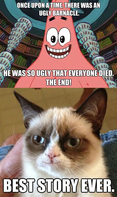 Funny Grumpy Cat Memes Grumpy Cat Meme Funny Grumpy Cat Memes My Xxx