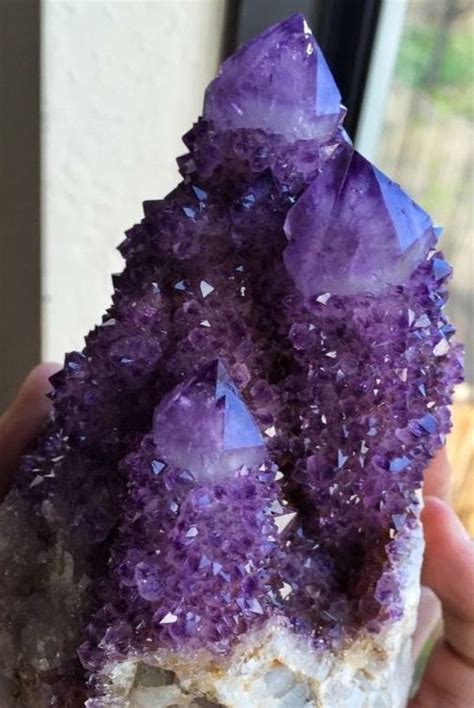 How to grow and propagate opuntia in your garden by linda hagen. Amethyst cactus quartz | Amethyst, Crystals, Rock crystal
