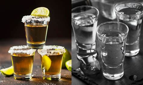 Vodka Vs Tequila A Friendly Guide To Spirits In The Us