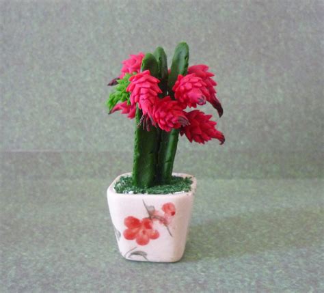 Dragon fruit plant is actually a climbing cactus and needs support to climb on, usually, as the plant fertilize dragon fruit with a balanced fertilizer every month when the plant is actively growing in its neighbor just gave me a dragon fruit plant. Dragon fruit tree pot 3 3/4" Dollhouse miniature/ fruit ...