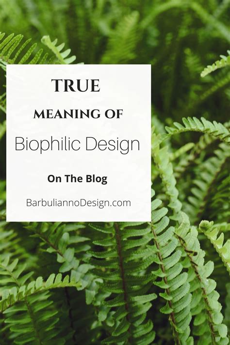 Biophilic Design Meaning Meant To Be Design Interior Design Blog
