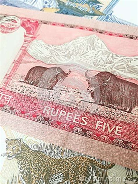 The best day to change malaysian ringgits in nepalese rupees was the monday, 21 december 2020. Nepalese Rupee, Close Up Of Nepal Paper Bank Note Stock ...