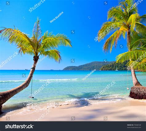 Sunny Tropical Beach Under Blue Sky Stock Photo 79508728