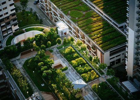 Urban Farming In Singapore Greens And Gardening Kits Honeycombers