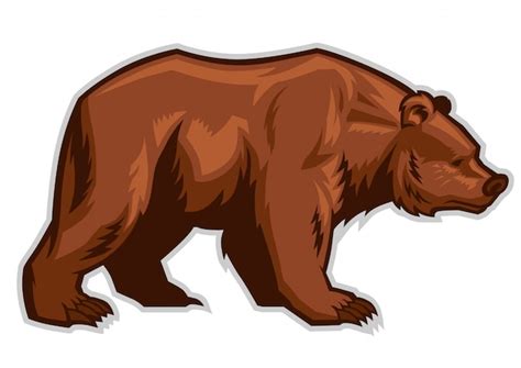 Grizzly Bear Images Free Vectors Stock Photos And Psd