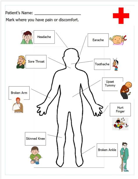 Free Printable Worksheet For Doctors Office Pretend Play Human Body