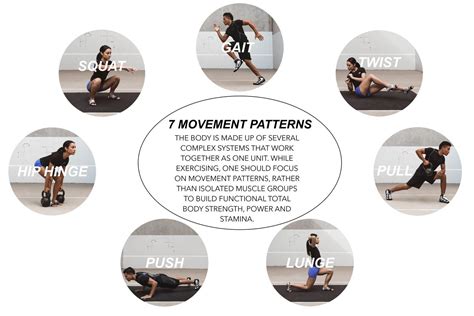 The 7 Basic Movements — Wellforculture Primal Movement Compound
