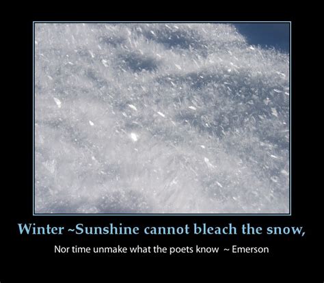 Beautiful Winter Day Quotes Quotesgram