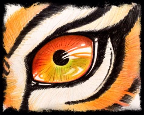 Eye Tiger Color Pencil Pencil Drawings Painting And Drawing Drawings