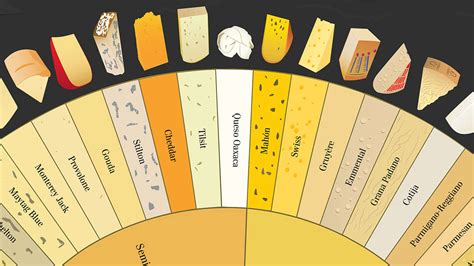 Infographic How To Tell The Difference Between Varieties Of Cheese My Xxx Hot Girl