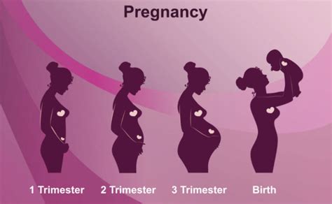 How A Womans Body Changes During 9 Months Of Pregnancy