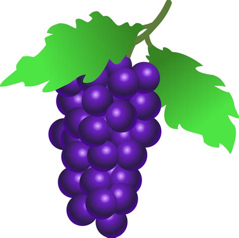 Huge collection, amazing choice, 100+ million high quality, affordable rf and rm images. OnlineLabels Clip Art - Grapes