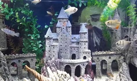Castle Decorations For Small To Large Aquariums And Setup Ideas