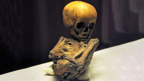 Era Una Bebé Y Vivió Hace 2300 Años La Misteriosa Momia Pepita