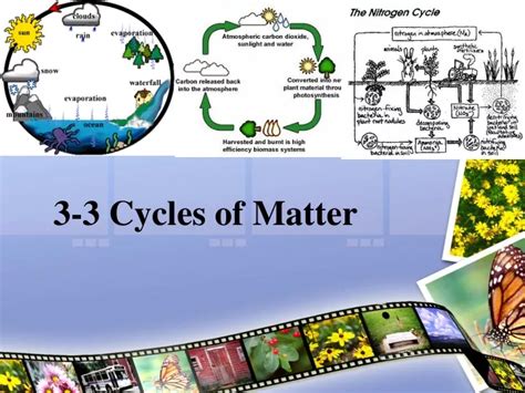 Ppt 3 3 Cycles Of Matter Powerpoint Presentation Free Download Id