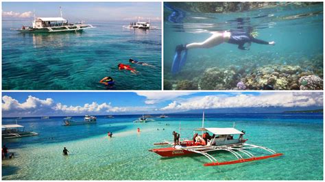 visit the philippines on this day cebu island hopping tour my xxx hot girl
