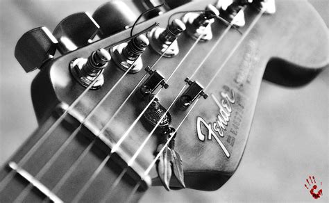 Fender Player Stratocaster Wallpaper ~ Fender Guitar Backgrounds