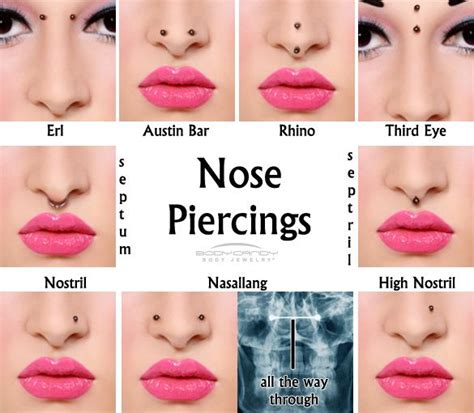 Types Of Nose Piercings Sacramento Nose Piercing Nose Piercing Different Nose Piercings