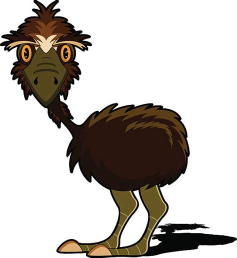Emu Clip Art Vector Images And Illustrations Istock
