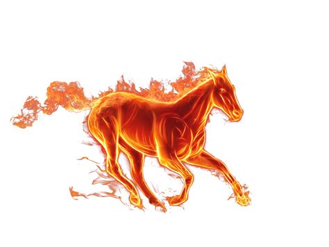 Fire Horse By Robgee789 On Deviantart