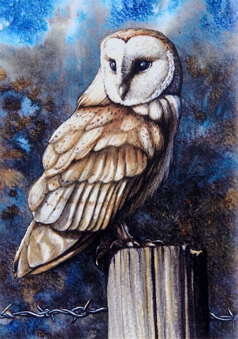 Barn Owl Signed Print Owl Paintings Welsh Art By Andrew Bailey