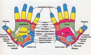 Hand Reflexology Reflexology Hand Chart Reflexology Chart