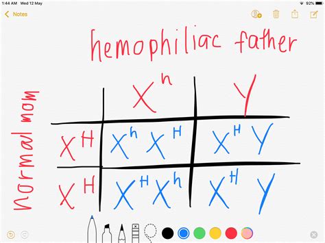 [solved] A Man Who Suffers From Haemophilia Which Is A Sex Linked Gene Course Hero