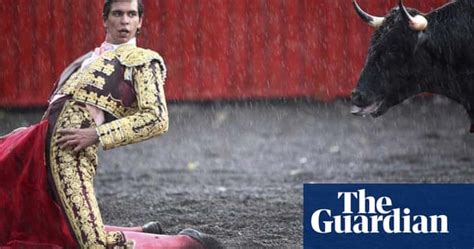Bullfighting In Mexico World News The Guardian