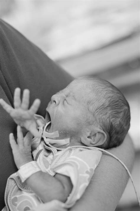 Understanding Your Preemies Signals Hand To Hold