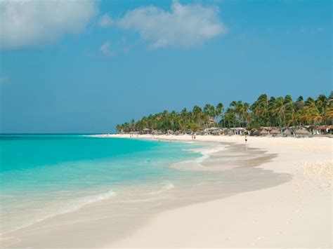 Aruba Beaches White Sand Arashi Eagle Beach Palm Beach Baby Beach