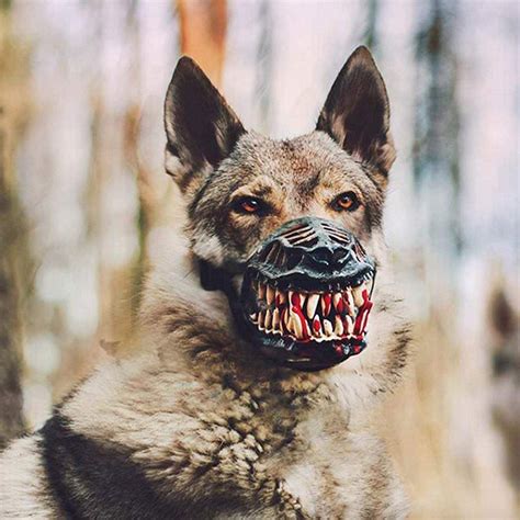 Werewolf Muzzle Perfect For Walking Your Dog On Halloween