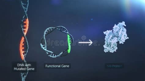 Dna Mutation A Mutation Is A Change In A Dna Sequence Mutations Stock