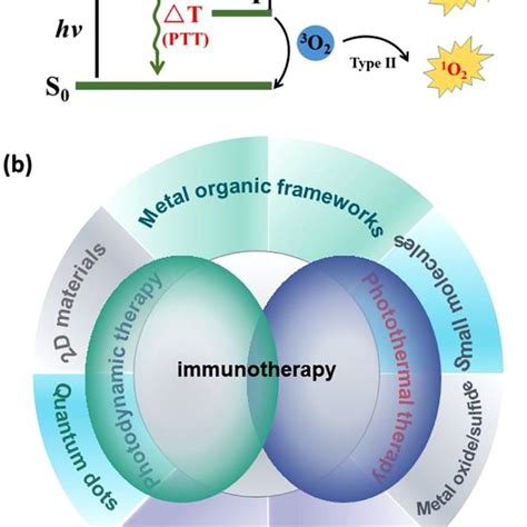 PDF Phototherapy Meets Immunotherapy A Win Win Strategy To Fight