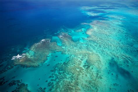 Great Barrier Reef Politics Countercurrents