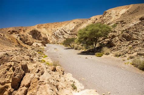 Negev Sand Stone Desert Dry Landscape Rocky Canyon Passage Wasteland