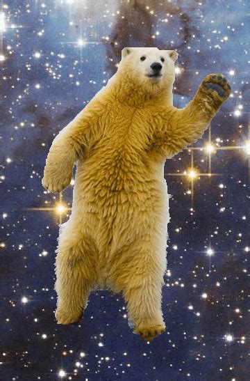 The Polar Bear Who Dances Through The Infinite Void Of Space Bear 