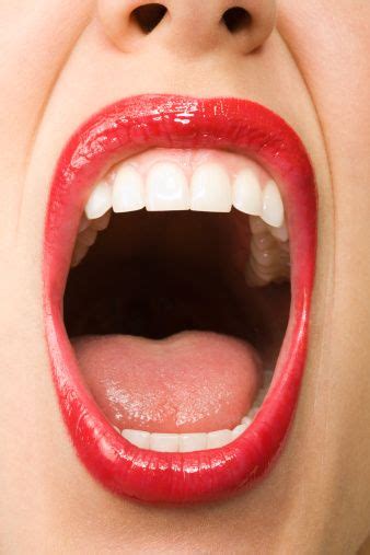 Woman With Mouth Open Wide Close Up Mouth Photography Mouth Open Lip Sence