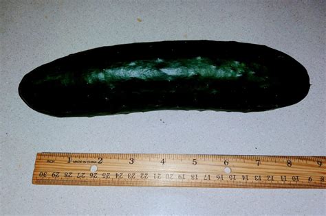 garden harvest first cucumber of the season farmhouse magic blog