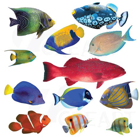 √ Fish Image Clipart