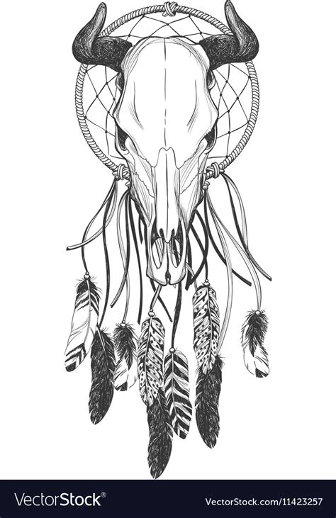Bull skull with rose flowers and feathers hanging from the horns. Bull skull with feathers and dreamcatcher Vector Image