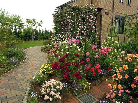 Landscaping With Roses Pictures Image Results
