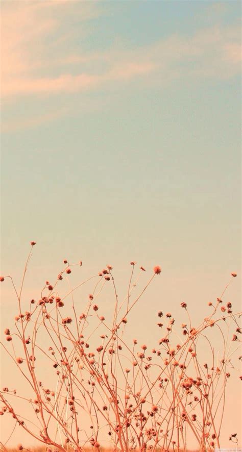 Background Pastel Vintage Iphone Wallpaper Hd Choose From Hundreds Of