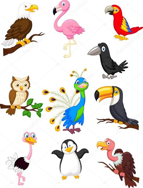 Cartoon Birds Collection Set Stock Vector Image By ©tigatelu 42241839
