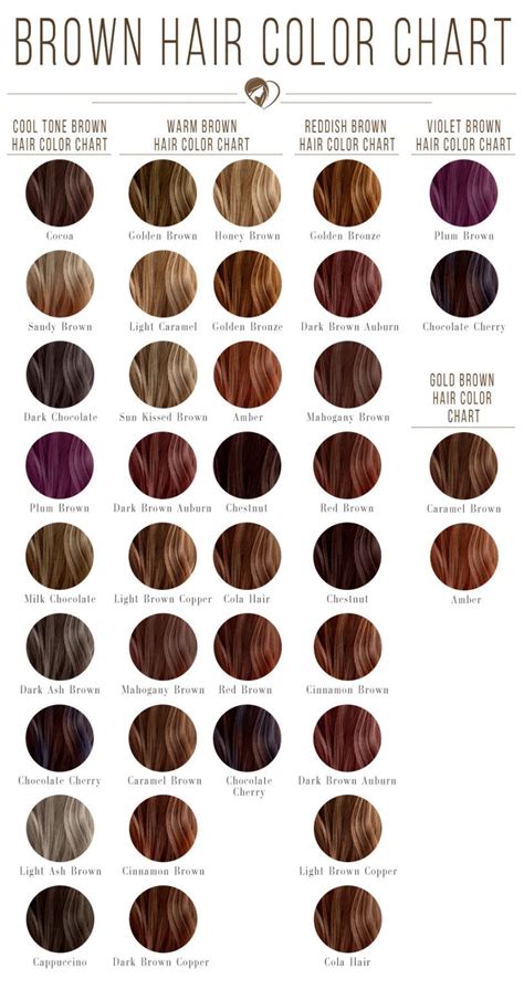 Rich Brown Hair Color Brown Hair Color Chart Brown Hair Shades