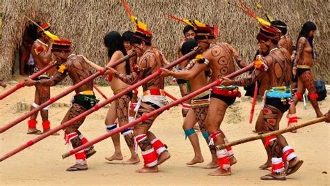 Índios Guaranis Os Verdadeiros Dono Do Brasil Cultura Em Movimento