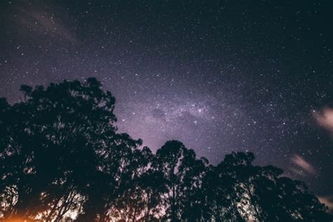 Free Images Tree Silhouette Sky Night Star Milky Way Atmosphere