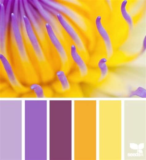√ What Does Yellow And Purple Make